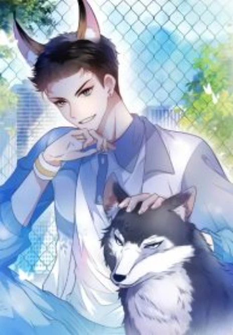 DESTINY LOVE Cover Image