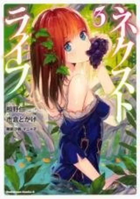 Next Life Cover Image