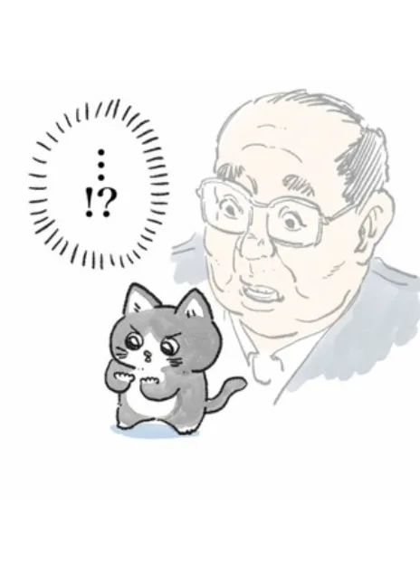 Старик, перевоплотившийся в кота Cover Image